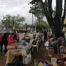 El s&aacute;bado regresan los &lsquo;mercados campesinos&rsquo; en siete puntos de Cali