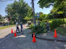 Dagma interviene corredores verdes de la ciudad