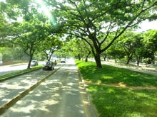 Dagma interviene corredores verdes de la ciudad