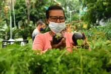 Mercados campesinos en Cali, una opci&oacute;n fresca que apoya la econom&iacute;a local