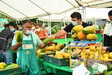 Mercados campesinos en Cali, una opci&oacute;n fresca que apoya la econom&iacute;a local