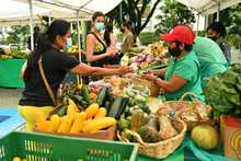 Mercados campesinos en Cali, una opci&oacute;n fresca que apoya la econom&iacute;a local