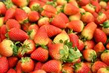 Mercados campesinos en Cali, una opci&oacute;n fresca que apoya la econom&iacute;a local