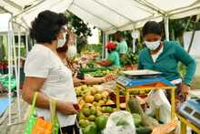 Mercados campesinos en Cali, una opci&oacute;n fresca que apoya la econom&iacute;a local