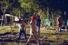 Organismos de seguridad y socorro recuperaron m&aacute;s de un kil&oacute;metro del jarill&oacute;n del r&iacute;o Cauca