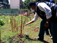 Huertas Urbanas en el barrio Bosques del Limonar, en una Cali unida por la vida