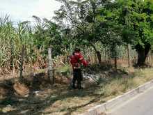 Recuperamos 6.209 metros cuadrados de v&iacute;as de acceso a los corregimientos de Cali