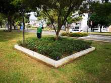 Nuevas zonas verdes apadrinadas por empresas de la ciudad