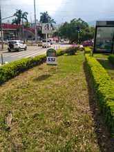 Nuevas zonas verdes apadrinadas por empresas de la ciudad