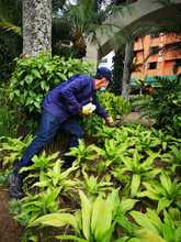 Nuevas zonas verdes apadrinadas por empresas de la ciudad