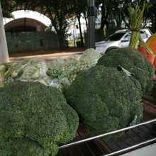 &lsquo;Mercados Campesinos&rsquo; para este fin de semana, en la ruta de la reactivaci&oacute;n del agro local