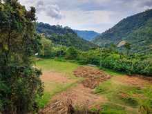 Escenarios deportivos de Felidia ser&aacute;n adecuados