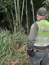 DAGMA y Polic&iacute;a Ambiental protegen la flora silvestre de Cali