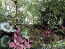 Servicios Ambientales Ofertados en la Zona Rural de Cali 