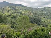 Servicios Ambientales Ofertados en la Zona Rural de Cali 