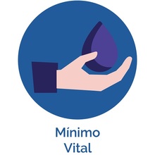 Minimo vital