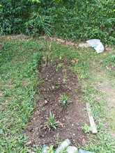 Huerta comunitaria &lsquo;URESA&rsquo;, para&iacute;so al sur de Cali