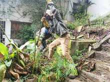 Recuperaci&oacute;n ambiental y paisaj&iacute;stica en San Antonio por parte del Dagma