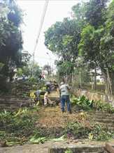 Recuperaci&oacute;n ambiental y paisaj&iacute;stica en San Antonio por parte del Dagma