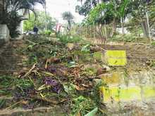 Recuperaci&oacute;n ambiental y paisaj&iacute;stica en San Antonio por parte del Dagma