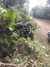 Mantenimiento de las v&iacute;as rurales, prioridad de Infraestructura