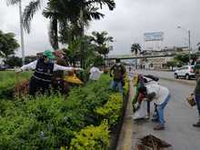 El Dagma celebra los 485 con una programaci&oacute;n muy especial