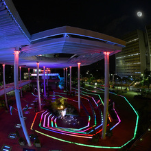 Una noche para amar, embellecer y llenar de color a la amada Cali