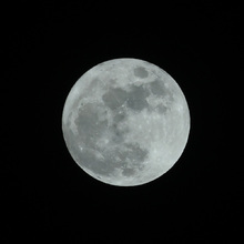 Una noche para amar, embellecer y llenar de color a la amada Cali