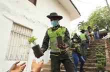 Acciones de reconciliaci&oacute;n con el medio ambiente durante el cumplea&ntilde;os de Cali