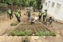 Acciones de reconciliaci&oacute;n con el medio ambiente durante el cumplea&ntilde;os de Cali