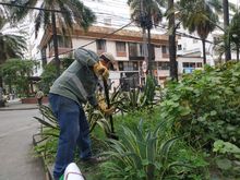 Acciones de reconciliaci&oacute;n con el medio ambiente durante el cumplea&ntilde;os de Cali