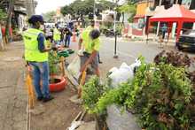 Acciones de reconciliaci&oacute;n con el medio ambiente durante el cumplea&ntilde;os de Cali