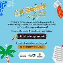 Emprendimientos de tres comunas se beneficiar&aacute;n con proyectos reactivadores