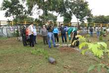 Proceso de recuperaci&oacute;n ambiental  de zonas afectadas por el Paro Nacional