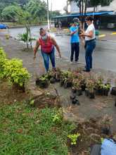 Proceso de recuperaci&oacute;n ambiental  de zonas afectadas por el Paro Nacional