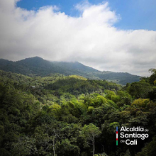 En el D&iacute;a Nacional de la Vida Silvestre resaltamos la protecci&oacute;n de la biodiversidad
