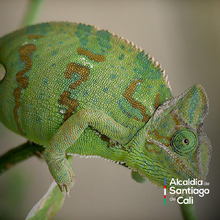 En el D&iacute;a Nacional de la Vida Silvestre resaltamos la protecci&oacute;n de la biodiversidad