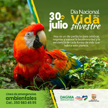 En el D&iacute;a Nacional de la Vida Silvestre resaltamos la protecci&oacute;n de la biodiversidad