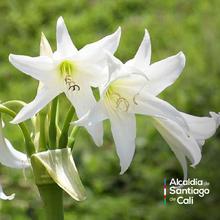 En el D&iacute;a Nacional de la Vida Silvestre resaltamos la protecci&oacute;n de la biodiversidad