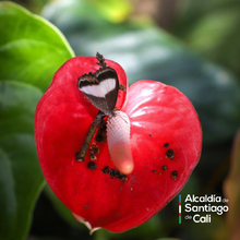 En el D&iacute;a Nacional de la Vida Silvestre resaltamos la protecci&oacute;n de la biodiversidad