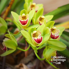 En el D&iacute;a Nacional de la Vida Silvestre resaltamos la protecci&oacute;n de la biodiversidad