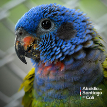 En el D&iacute;a Nacional de la Vida Silvestre resaltamos la protecci&oacute;n de la biodiversidad