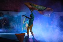 Peg&aacute;te al movimiento con el inicio el XXVII Encuentro Nacional e Internacional de Danzas Folcl&oacute;ricas Mercedes Monta&ntilde;o