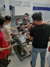 La fauna silvestre cuenta con un Hogar de Paso para su atenci&oacute;n temporal