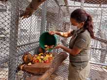 La fauna silvestre cuenta con un Hogar de Paso para su atenci&oacute;n temporal