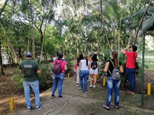 Exitosa jornada de avistamiento de aves en el Club Tequendama