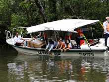 Dagma libera 49 especies de fauna silvestre en el Pac&iacute;fico vallecaucano