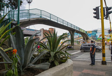 Puente peatonal se convertir&aacute; en un balc&oacute;n verde sobre la Calle 5