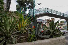 Puente peatonal se convertir&aacute; en un balc&oacute;n verde sobre la Calle 5