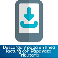Descarga y paga en l&iacute;nea con papayazo